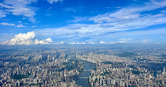 用友企业域名查询