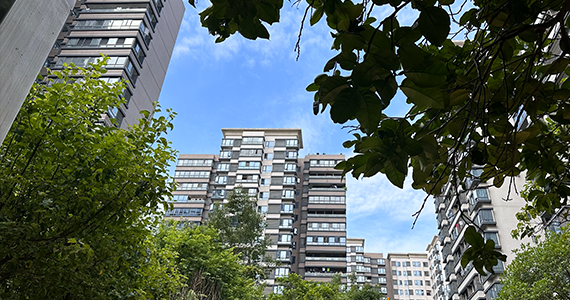 企业域名注册后怎么做备案查询呢