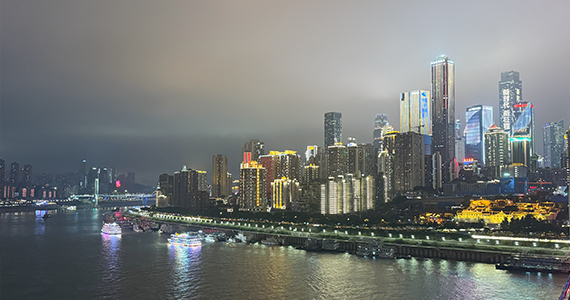 域名注册企业信息查询