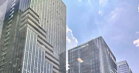 怎么查询企业名下域名是否续费