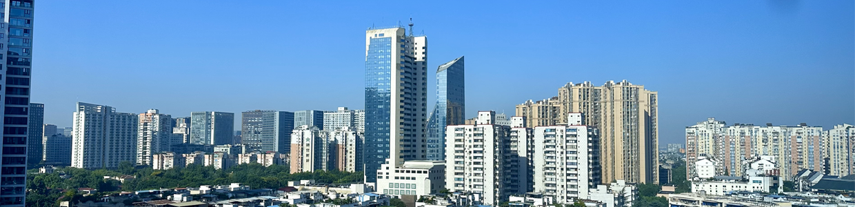 企业域名查询网